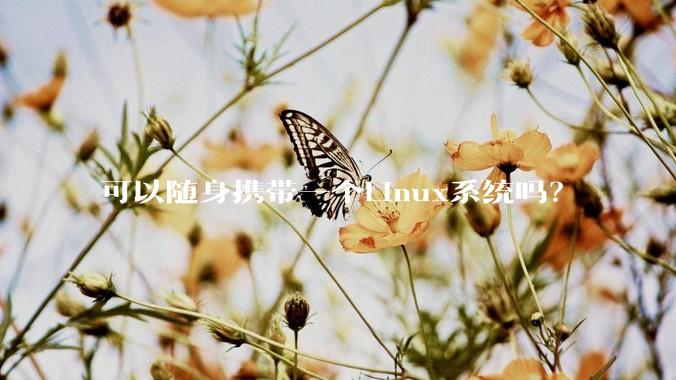 可以随身携带一个Linux系统吗？