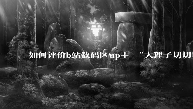 如何评价b站数码区up主 “大狸子切切里”?