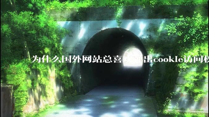 为什么国外网站总喜欢弹出cookie访问权限弹窗，国内网站却没有，这么做有什么意义？