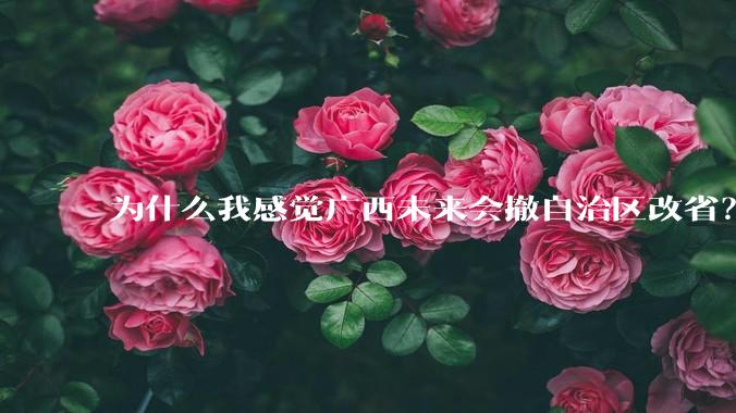 为什么我感觉广西未来会撤自治区改省？