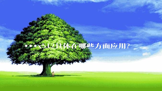 ***x512具体在哪些方面应用？