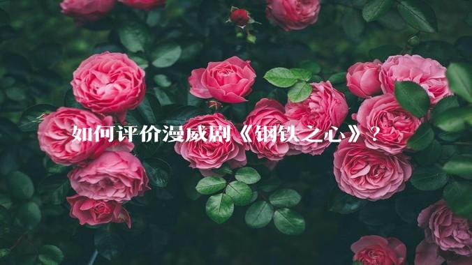 如何评价漫威剧《钢铁之心》？