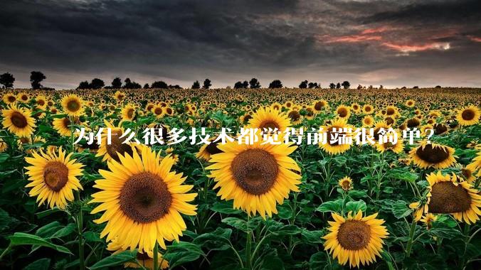为什么很多技术都觉得前端很简单？