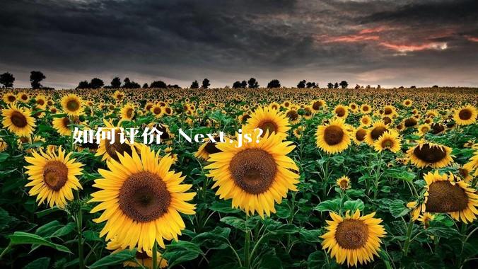如何评价 Next.js？