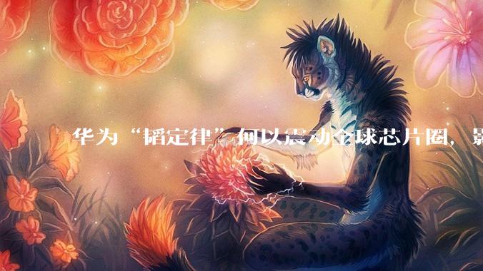 华为“韬定律”何以震动全球芯片圈，影响你我？_王立新_田丰_信号