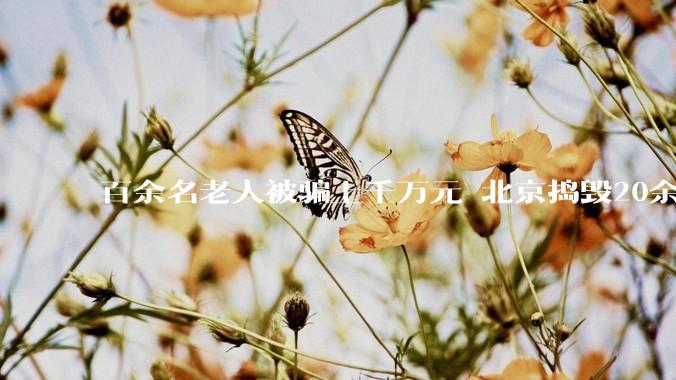 百余名老人被骗上千万元 北京捣毁20余家“套路养生馆”_进行_治疗_李女士