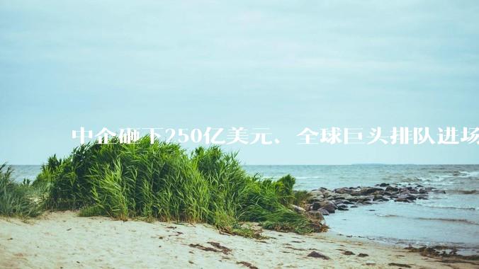 中企砸下250亿美元、全球巨头排队进场：泰国为何突然成了东南亚“算力新大陆”？_项目_罗勇_电力