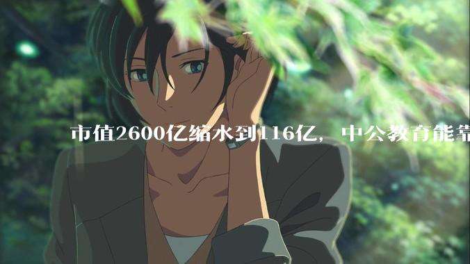市值2600亿缩水到116亿，中公教育能靠AI上岸吗？_李永新_上市公司_全国