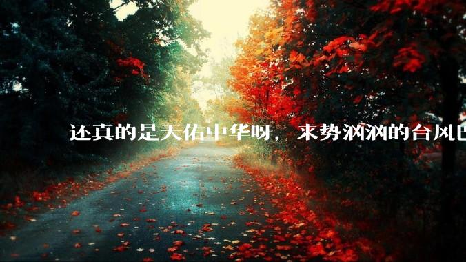 还真的是天佑中华呀，来势汹汹的台风巴威，最后走出的路子，连整个亚太气象圈都直呼看不懂。_强度_卫星云_水汽
