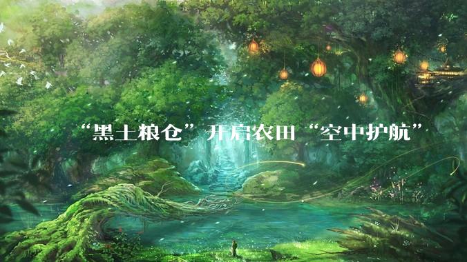 “黑土粮仓”开启农田“空中护航”