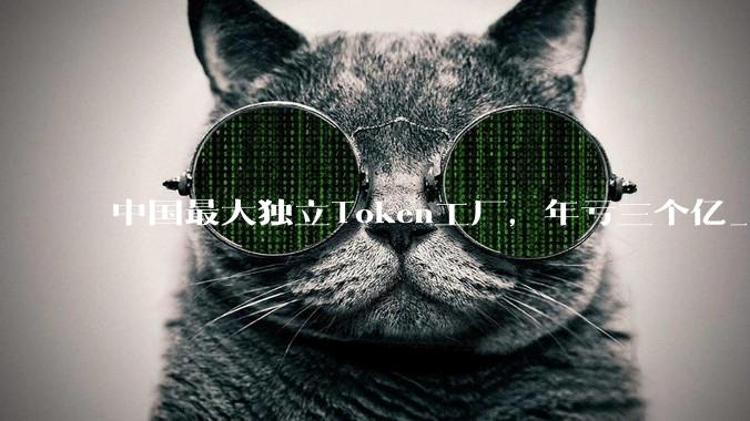中国最大独立Token工厂，年亏三个亿_流动_模型_推理