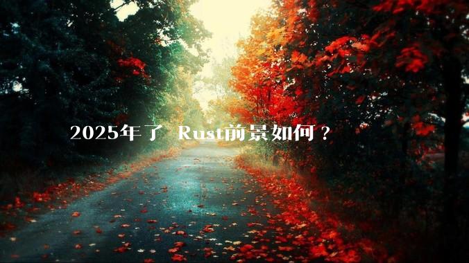 2025年了 Rust前景如何?
