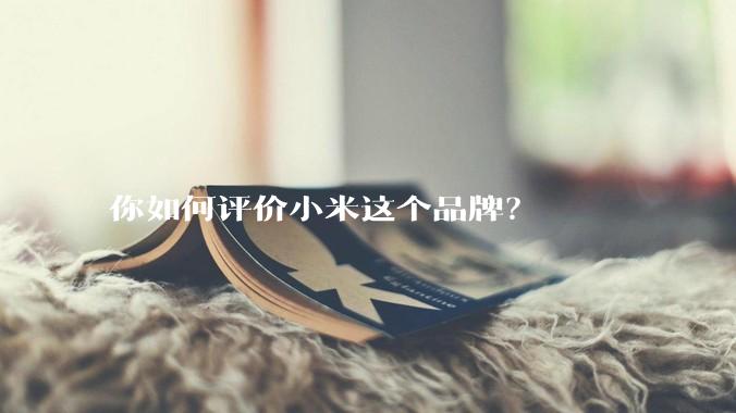 你如何评价小米这个品牌？