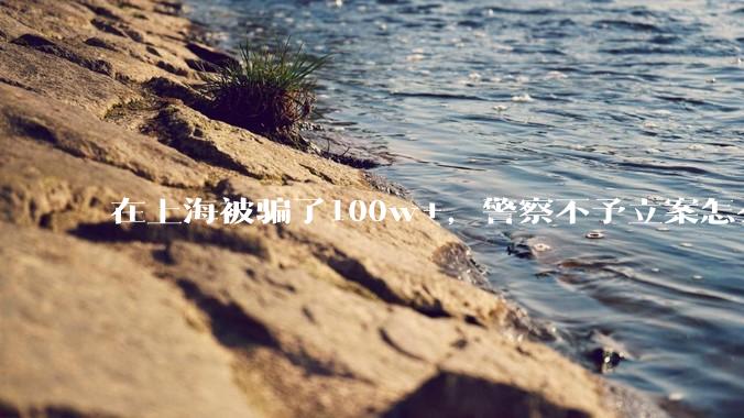 在上海被骗了100w+，警察不予立案怎么办？