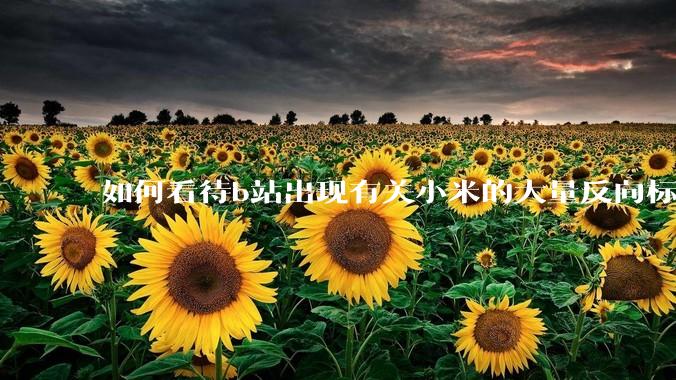 如何看待b站出现有关小米的大量反向标题，号称“薅千亿补贴”的现象？