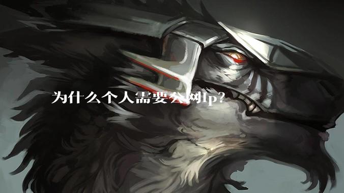 为什么个人需要公网ip？