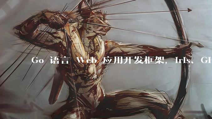 Go 语言 Web 应用开发框架，Iris、Gin、Echo，哪一个更适合大型项目？