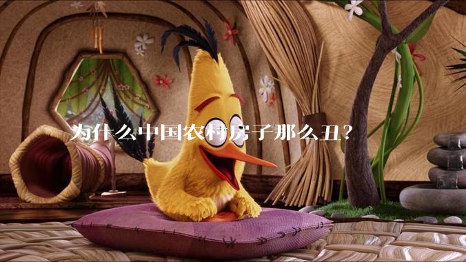 为什么中国农村房子那么丑？