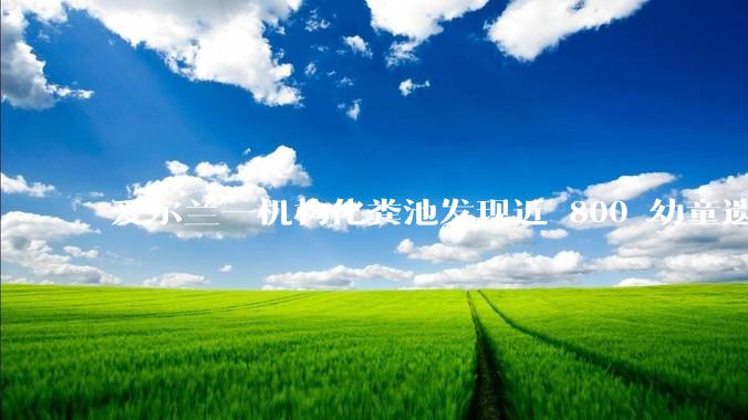 爱尔兰一机构化粪池发现近 800 幼童遗骨，具体是怎么回事？