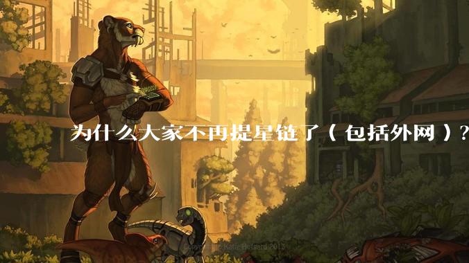 为什么大家不再提星链了（包括外网）？