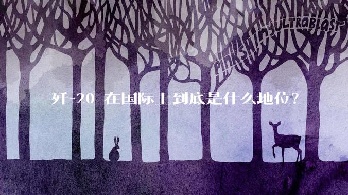 歼-20 在国际上到底是什么地位？