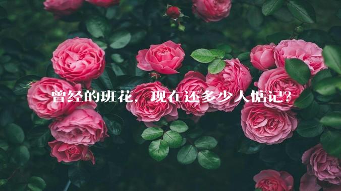 曾经的班花，现在还多少人惦记？