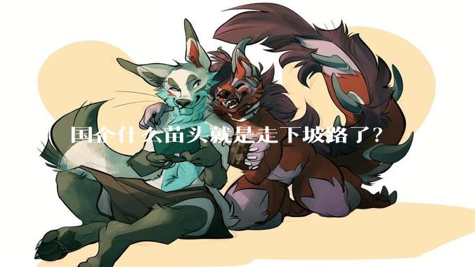 国企什么苗头就是走下坡路了？